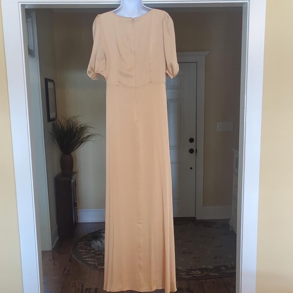 Sachin + Babi Champagne Ruched Maxi Gown - Picture 4 of 6